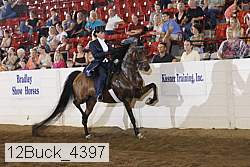 12buck_4397 proof