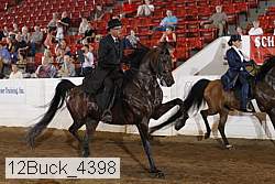 12buck_4398 proof