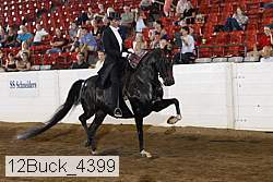 12buck_4399 proof