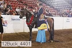 12buck_4401 proof