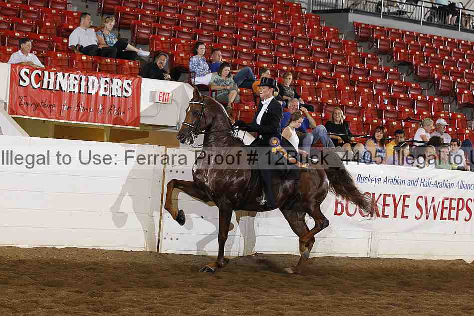 Proof 12buck_4405