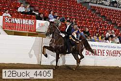 12buck_4405 proof