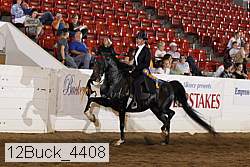 12buck_4408 proof