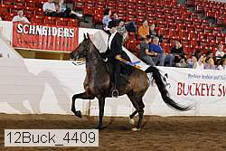 12buck_4409 proof