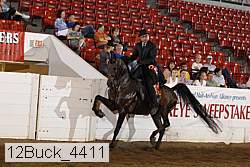 12buck_4411 proof