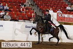 12buck_4412 proof