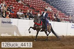 12buck_4413 proof