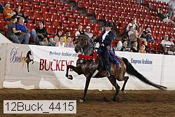 12buck_4415 proof