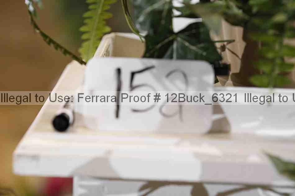 Proof 12buck_6321