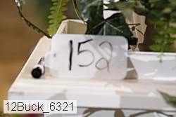 12buck_6321 proof