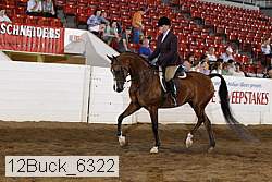 12buck_6322 proof