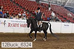 12buck_6324 proof