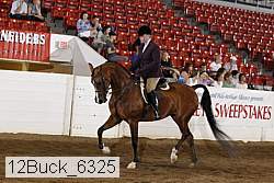 12buck_6325 proof