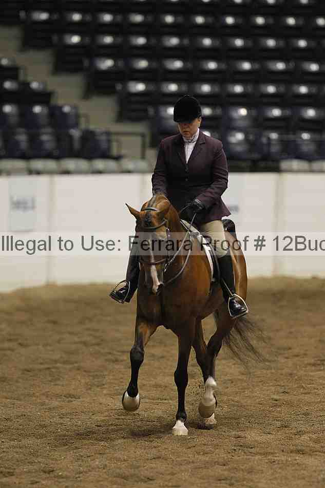 Proof 12buck_6326