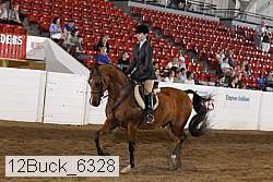 12buck_6328 proof