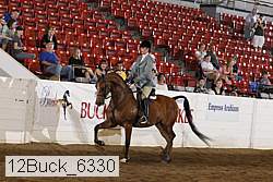 12buck_6330 proof