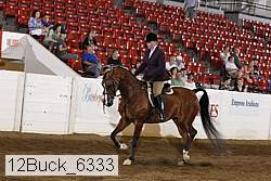 12buck_6333 proof