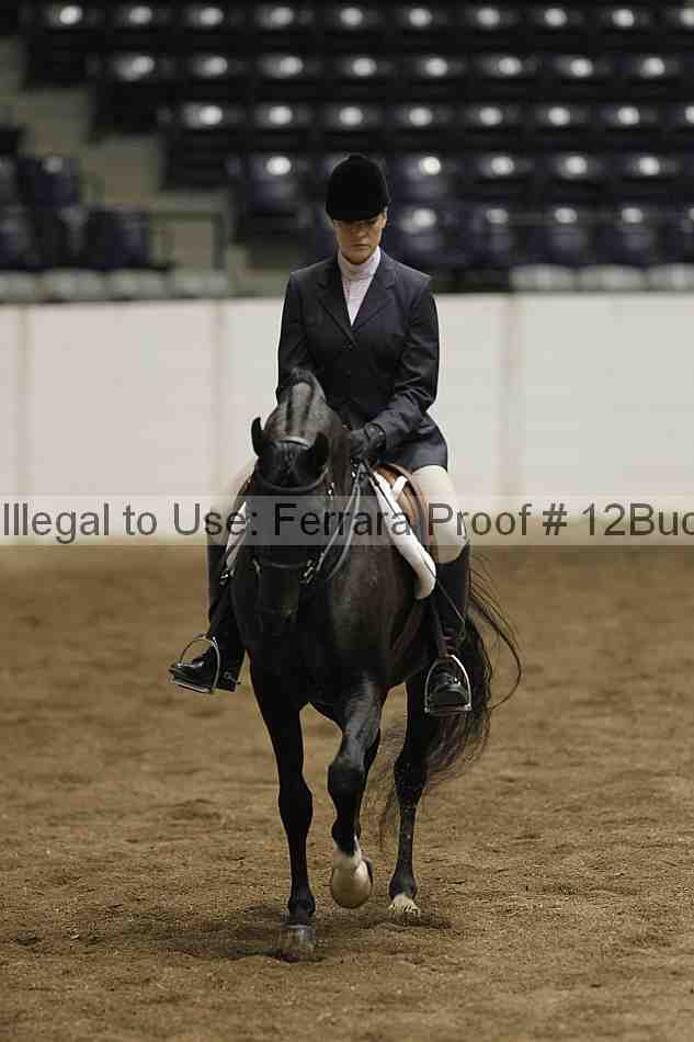 Proof 12buck_6334