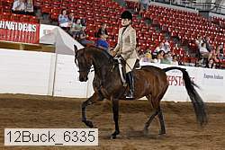 12buck_6335 proof