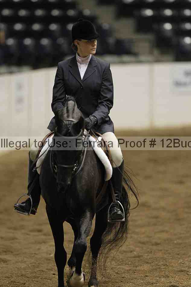 Proof 12buck_6336