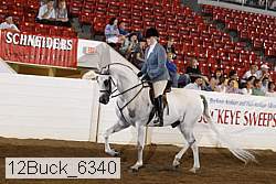 12buck_6340 proof