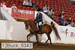 12buck_6343 proof