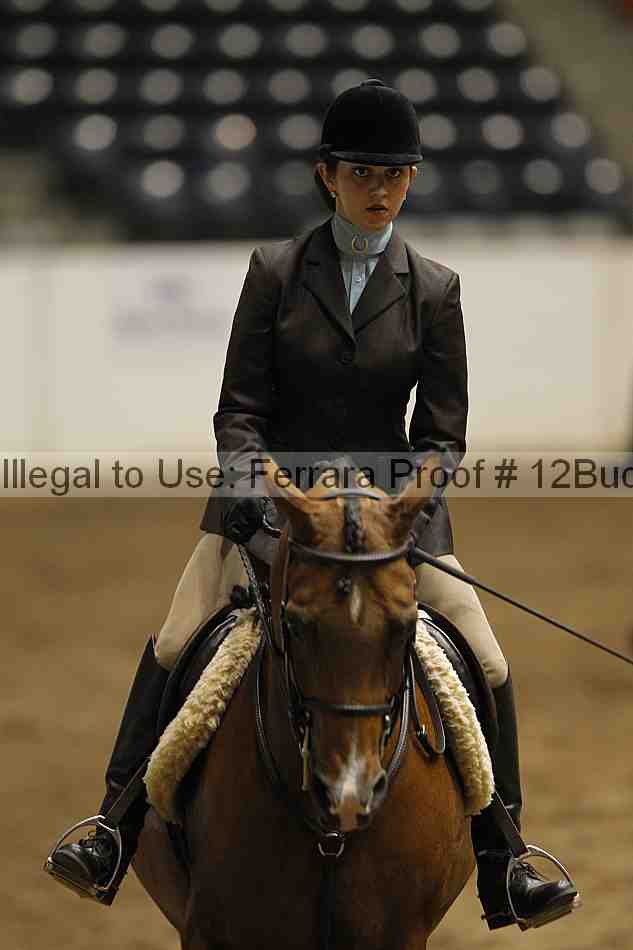 Proof 12buck_6345
