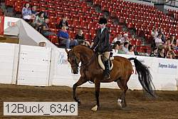 12buck_6346 proof