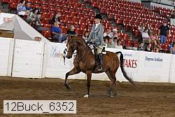 12buck_6352 proof