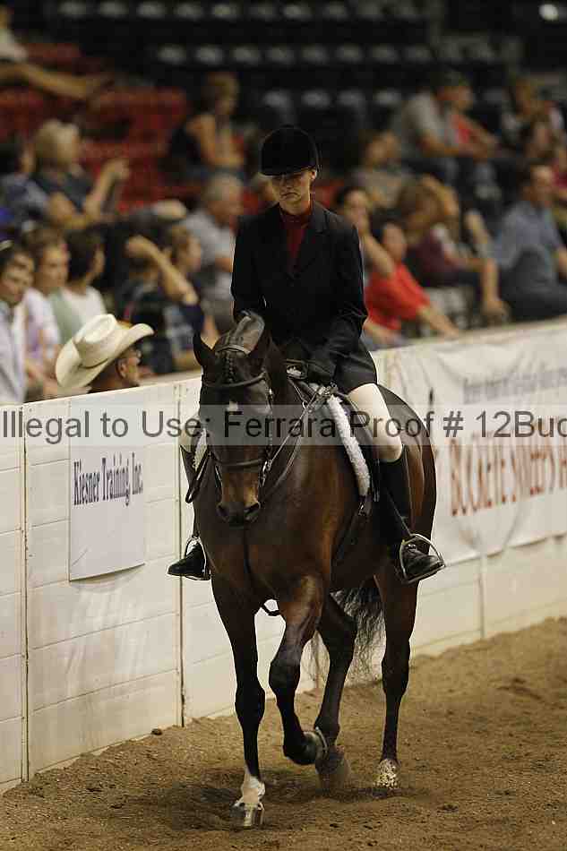 Proof 12buck_6353