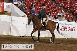 12buck_6354 proof