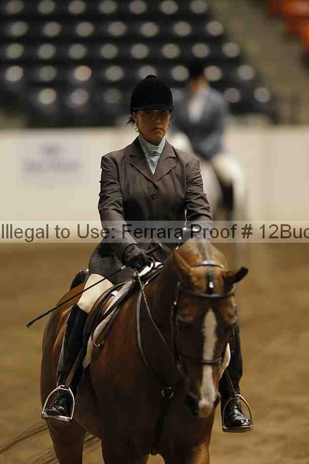 Proof 12buck_6355