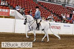 12buck_6356 proof