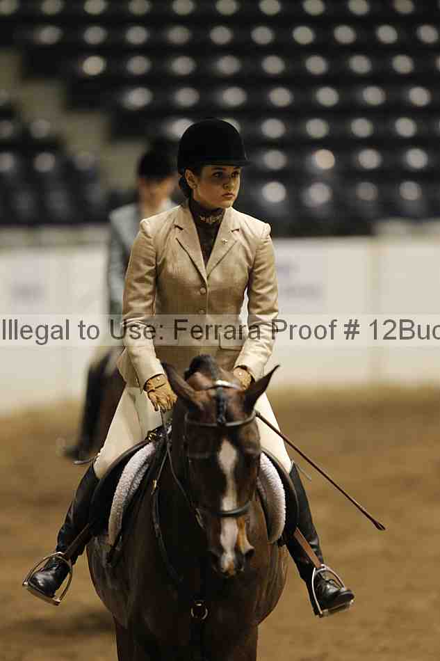 Proof 12buck_6362