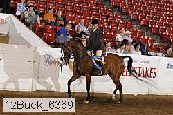 12buck_6369 proof