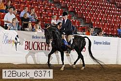 12buck_6371 proof