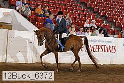 12buck_6372 proof