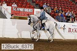 12buck_6375 proof