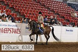 12buck_6382 proof