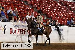 12buck_6383 proof