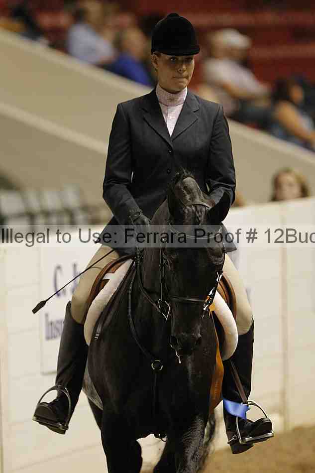 Proof 12buck_6384