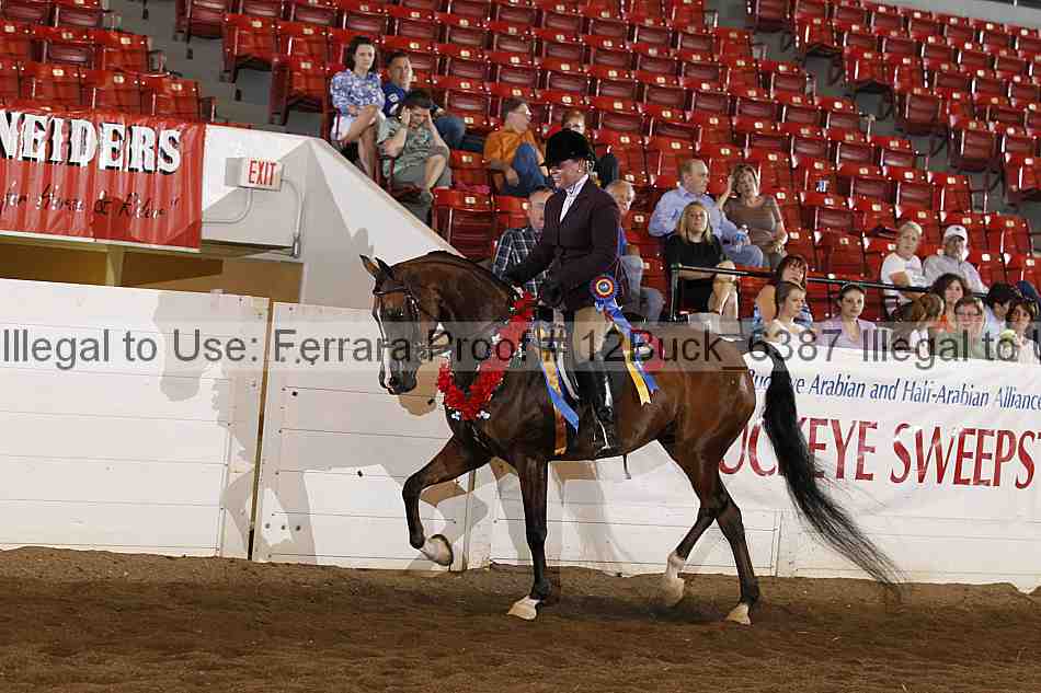 Proof 12buck_6387