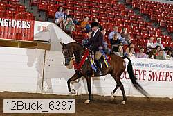 12buck_6387 proof