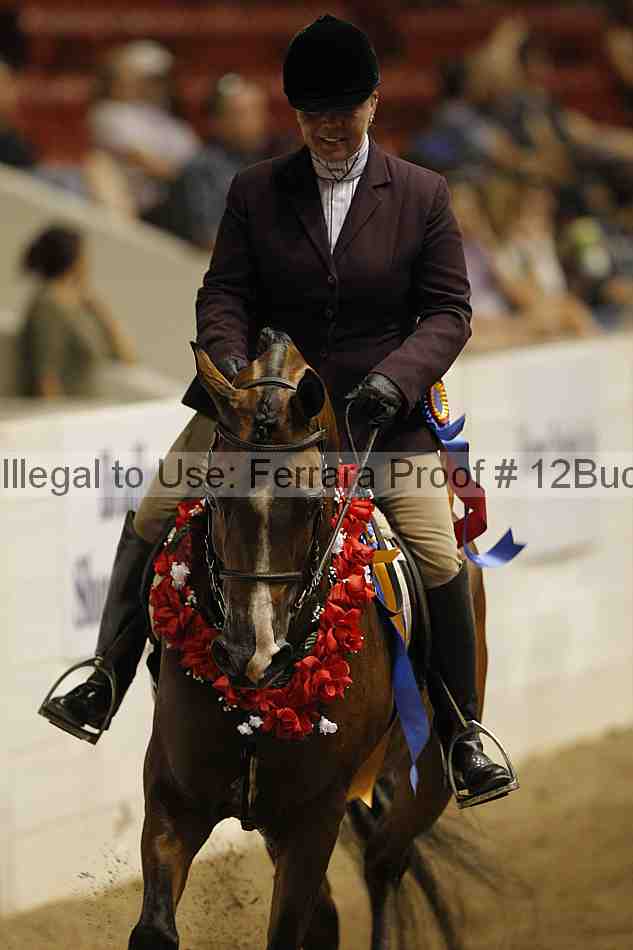Proof 12buck_6397