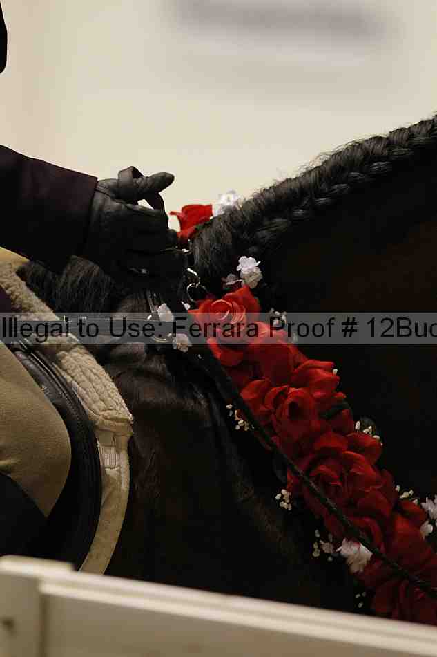 Proof 12buck_6398