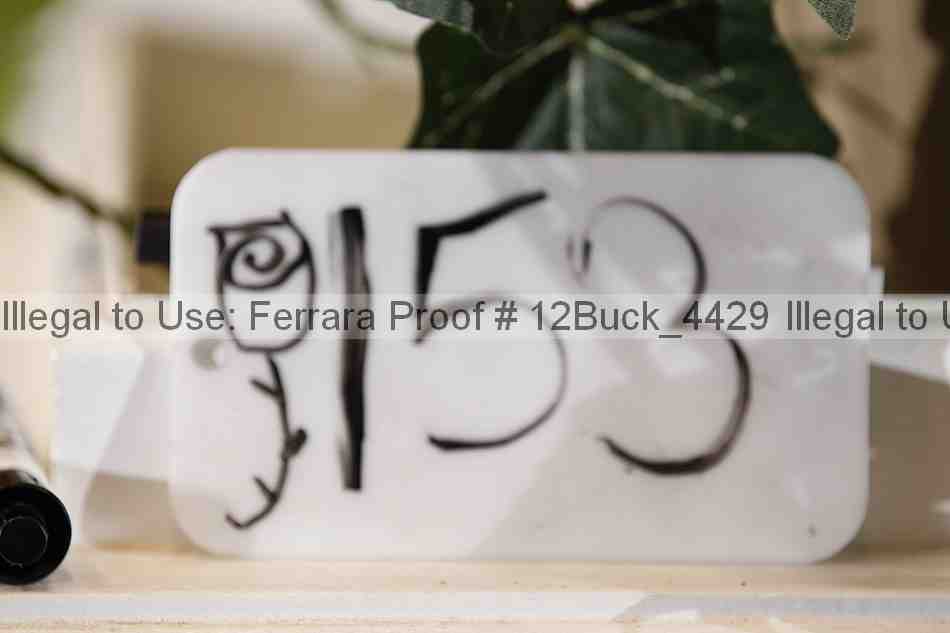 Proof 12buck_4429