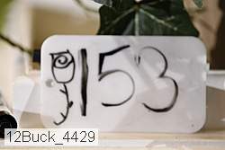 12buck_4429 proof