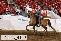 12buck_4430 proof