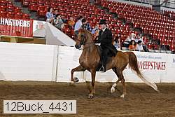 12buck_4431 proof