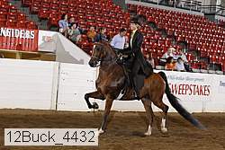 12buck_4432 proof
